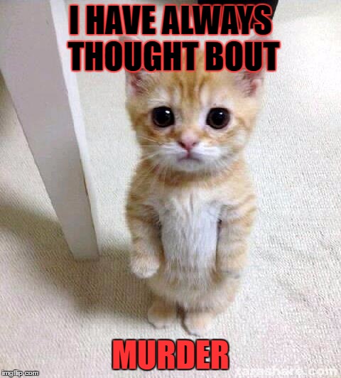 Cute Cat | I HAVE ALWAYS THOUGHT BOUT; MURDER | image tagged in memes,cute cat | made w/ Imgflip meme maker