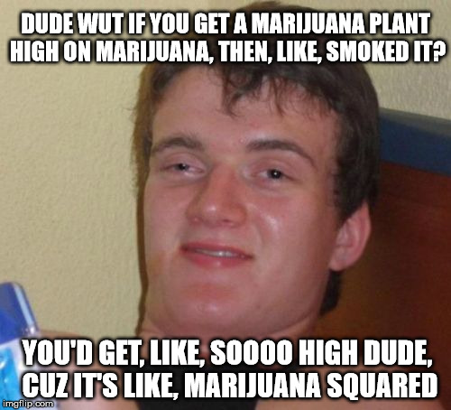 it's Marijuanaception, my dudes. | DUDE WUT IF YOU GET A MARIJUANA PLANT HIGH ON MARIJUANA, THEN, LIKE, SMOKED IT? YOU'D GET, LIKE, SOOOO HIGH DUDE, CUZ IT'S LIKE, MARIJUANA SQUARED | image tagged in memes,10 guy,weed,marijuana,high | made w/ Imgflip meme maker