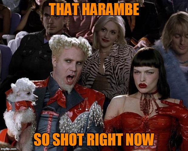 Mugatu So Hot Right Now Meme | THAT HARAMBE SO SHOT RIGHT NOW | image tagged in memes,mugatu so hot right now | made w/ Imgflip meme maker