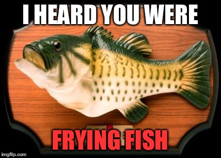 If you're gonna ask me what I'm doing with my life, it's not study. | I HEARD YOU WERE; FRYING FISH | image tagged in big mouth billy bass,fish,fried foods | made w/ Imgflip meme maker