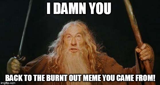 gandalf | I DAMN YOU; BACK TO THE BURNT OUT MEME YOU CAME FROM! | image tagged in gandalf | made w/ Imgflip meme maker