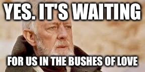 YES. IT'S WAITING FOR US IN THE BUSHES OF LOVE | image tagged in obi wan kenobi | made w/ Imgflip meme maker