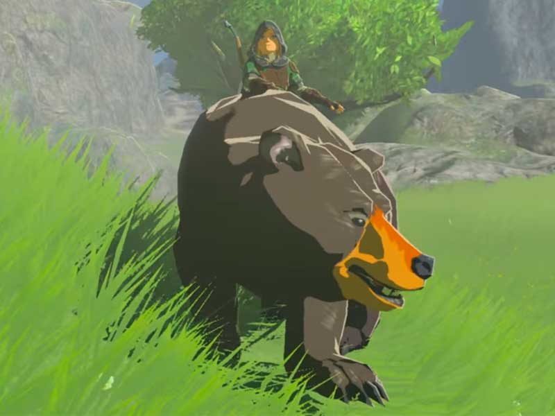 Zelda Bear Blank Meme Template