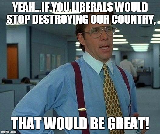 That Would Be Great Meme | YEAH...IF YOU LIBERALS WOULD STOP DESTROYING OUR COUNTRY, THAT WOULD BE GREAT! | image tagged in memes,that would be great | made w/ Imgflip meme maker