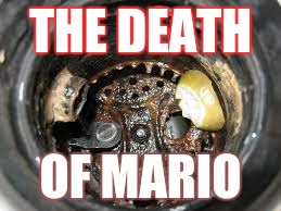 food disposals!!!! | THE DEATH; OF MARIO | image tagged in gaming | made w/ Imgflip meme maker