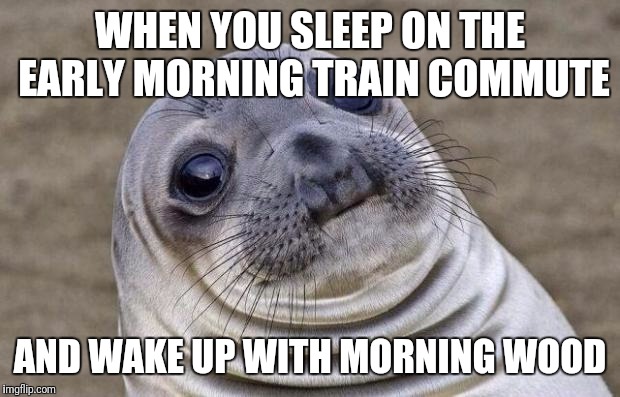 Awkward Moment Sealion | WHEN YOU SLEEP ON THE EARLY MORNING TRAIN COMMUTE; AND WAKE UP WITH MORNING WOOD | image tagged in memes,awkward moment sealion | made w/ Imgflip meme maker