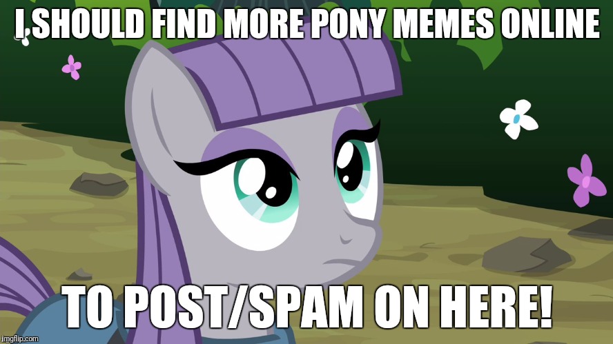 Maud is Interested | I SHOULD FIND MORE PONY MEMES ONLINE; TO POST/SPAM ON HERE! | image tagged in maud is interested | made w/ Imgflip meme maker