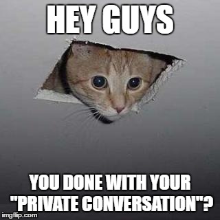 Not a day goes by without me saying this to at least one person | HEY GUYS; YOU DONE WITH YOUR "PRIVATE CONVERSATION"? | image tagged in memes,ceiling cat | made w/ Imgflip meme maker