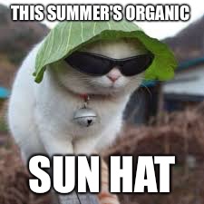 Funny animals | THIS SUMMER'S ORGANIC; SUN HAT | image tagged in funny animals | made w/ Imgflip meme maker