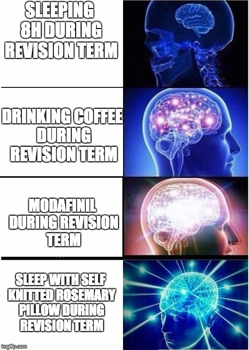 Expanding Brain Meme | SLEEPING 8H DURING REVISION TERM; DRINKING COFFEE DURING REVISION TERM; MODAFINIL DURING REVISION TERM; SLEEP WITH SELF KNITTED ROSEMARY PILLOW DURING REVISION TERM | image tagged in expanding brain | made w/ Imgflip meme maker