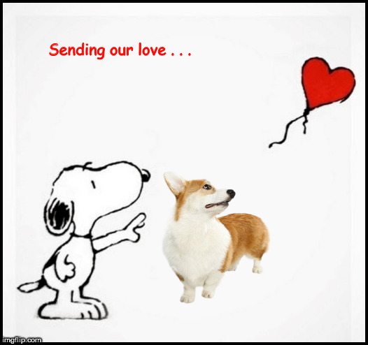 Remembering a Friend in Doggy Heaven | image tagged in corgi,dog,snoopy,doggy heaven,remembering a dog,death of a dog | made w/ Imgflip meme maker
