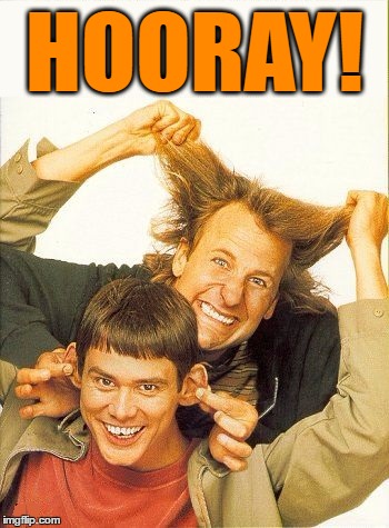 DUMB and dumber | HOORAY! | image tagged in dumb and dumber | made w/ Imgflip meme maker