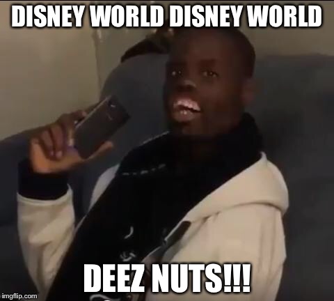 Deez Nuts! | DISNEY WORLD DISNEY WORLD; DEEZ NUTS!!! | image tagged in deez nuts | made w/ Imgflip meme maker