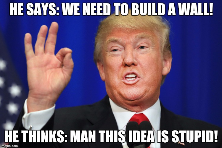 What Donald Trump thinks of the wall idea | HE SAYS: WE NEED TO BUILD A WALL! HE THINKS: MAN THIS IDEA IS STUPID! | image tagged in trump wall,build a wall,bad idea,bad ideas | made w/ Imgflip meme maker