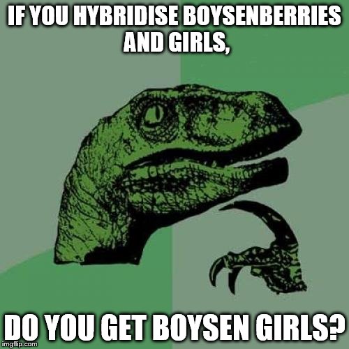 Philosoraptor Meme | IF YOU HYBRIDISE BOYSENBERRIES AND GIRLS, DO YOU GET BOYSEN GIRLS? | image tagged in memes,philosoraptor | made w/ Imgflip meme maker
