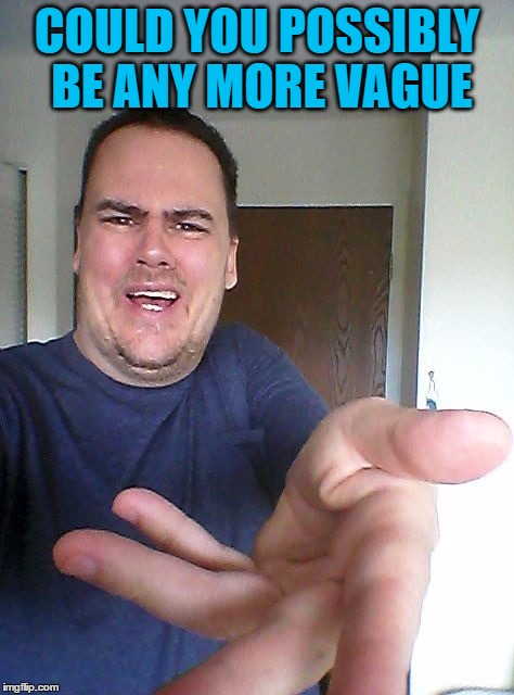 wow! | COULD YOU POSSIBLY BE ANY MORE VAGUE | image tagged in wow | made w/ Imgflip meme maker