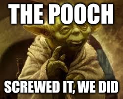 yoda | THE POOCH; SCREWED IT, WE DID | image tagged in yoda | made w/ Imgflip meme maker