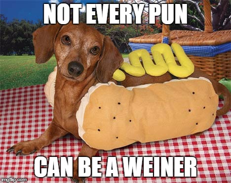 Not Every Pun can be a Weiner | NOT EVERY PUN; CAN BE A WEINER | image tagged in dachshunds,dachshund,bad pun,pun,weiner | made w/ Imgflip meme maker