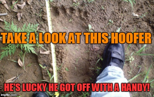 TAKE A LOOK AT THIS HOOFER HE'S LUCKY HE GOT OFF WITH A HANDY! | made w/ Imgflip meme maker