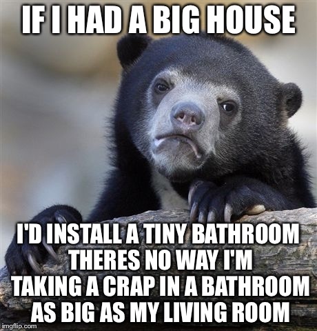 Confession Bear Meme | IF I HAD A BIG HOUSE I'D INSTALL A TINY BATHROOM THERES NO WAY I'M TAKING A CRAP IN A BATHROOM AS BIG AS MY LIVING ROOM | image tagged in memes,confession bear | made w/ Imgflip meme maker