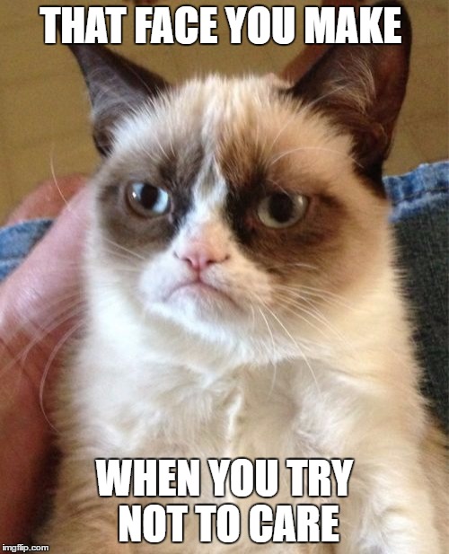 Grumpy Cat Meme | THAT FACE YOU MAKE; WHEN YOU TRY NOT TO CARE | image tagged in memes,grumpy cat | made w/ Imgflip meme maker
