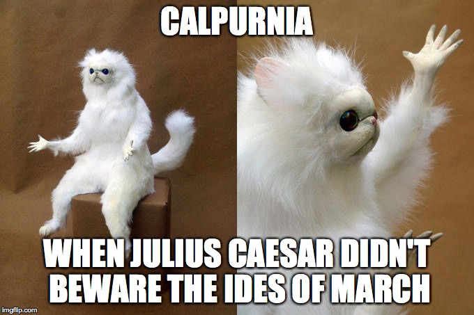 Persian Cat Room Guardian Meme | CALPURNIA; WHEN JULIUS CAESAR DIDN'T BEWARE THE IDES OF MARCH | image tagged in memes,persian cat room guardian | made w/ Imgflip meme maker