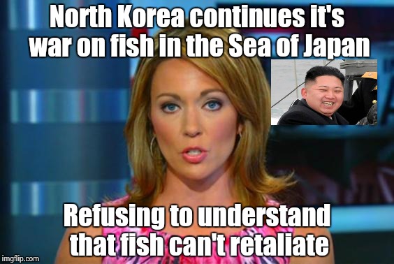 I thought Koreans liked seafood | North Korea continues it's war on fish in the Sea of Japan; Refusing to understand that fish can't retaliate | image tagged in misinformed reporter,nuclear,lunatic,fish,killer | made w/ Imgflip meme maker
