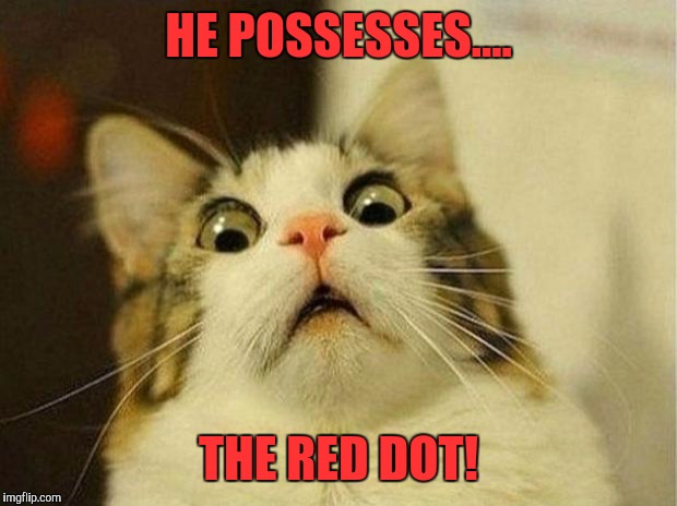 Found The Truth! | HE POSSESSES.... THE RED DOT! | image tagged in memes,scared cat,funny,funny memes,red dot | made w/ Imgflip meme maker