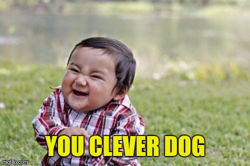 Evil Toddler Meme | YOU CLEVER DOG | image tagged in memes,evil toddler | made w/ Imgflip meme maker