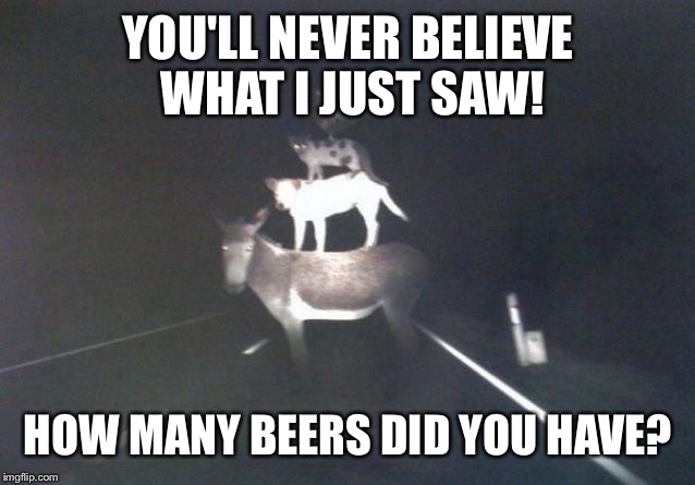 Stacked Animals | YOU'LL NEVER BELIEVE WHAT I JUST SAW! HOW MANY BEERS DID YOU HAVE? | image tagged in stacked animals | made w/ Imgflip meme maker