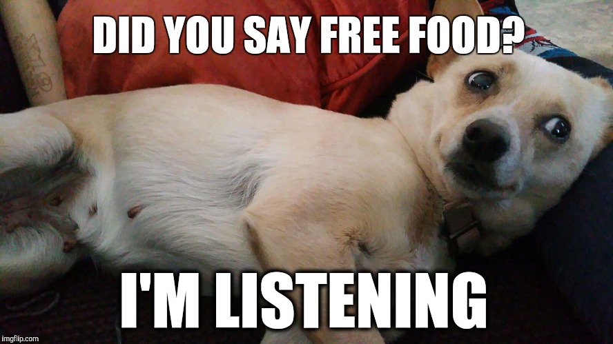 DID YOU SAY FREE FOOD? I'M LISTENING | image tagged in doge,dogs,dog,memes,food,funny food | made w/ Imgflip meme maker
