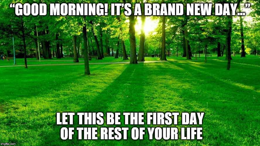 Nature | “GOOD MORNING! IT’S A BRAND NEW DAY…”; LET THIS BE THE FIRST DAY OF THE REST OF YOUR LIFE | image tagged in nature | made w/ Imgflip meme maker