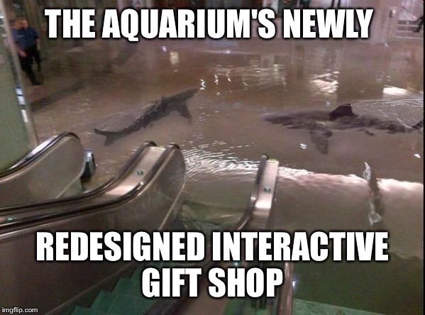 Sharks Shopping | THE AQUARIUM'S NEWLY; REDESIGNED INTERACTIVE GIFT SHOP | image tagged in sharks shopping | made w/ Imgflip meme maker