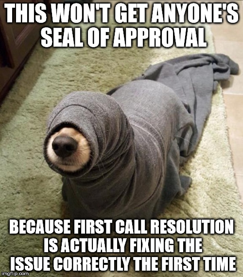 Seal Of Approval | THIS WON'T GET ANYONE'S SEAL OF APPROVAL; BECAUSE FIRST CALL RESOLUTION IS ACTUALLY FIXING THE ISSUE CORRECTLY THE FIRST TIME | image tagged in seal of approval,satisfied seal,awkward moment seal,maybe now people should worry about seals more than penguins,sad seal | made w/ Imgflip meme maker