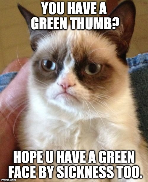 Grumpy Cat Meme | YOU HAVE A GREEN THUMB? HOPE U HAVE A GREEN FACE BY SICKNESS TOO. | image tagged in memes,grumpy cat | made w/ Imgflip meme maker