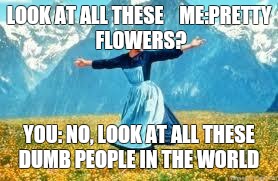 Look At All These Meme | LOOK AT ALL THESE



ME:PRETTY FLOWERS? YOU: NO, LOOK AT ALL THESE DUMB PEOPLE IN THE WORLD | image tagged in memes,look at all these | made w/ Imgflip meme maker