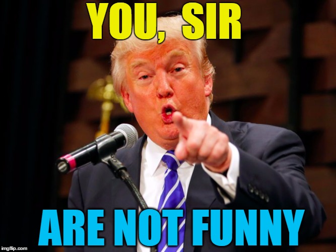 trump point | YOU,  SIR ARE NOT FUNNY | image tagged in trump point | made w/ Imgflip meme maker