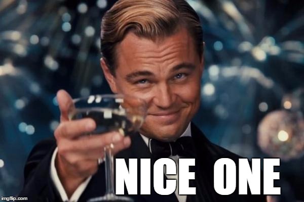 Leonardo Dicaprio Cheers Meme | NICE  ONE | image tagged in memes,leonardo dicaprio cheers | made w/ Imgflip meme maker