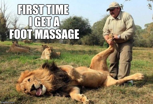 king lion | FIRST TIME I GET A FOOT MASSAGE | image tagged in lion king | made w/ Imgflip meme maker