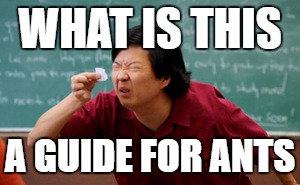WHAT IS THIS; A GUIDE FOR ANTS | made w/ Imgflip meme maker