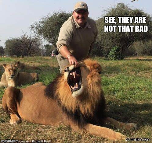 king lion | SEE, THEY ARE NOT THAT BAD | image tagged in passive aggressive | made w/ Imgflip meme maker