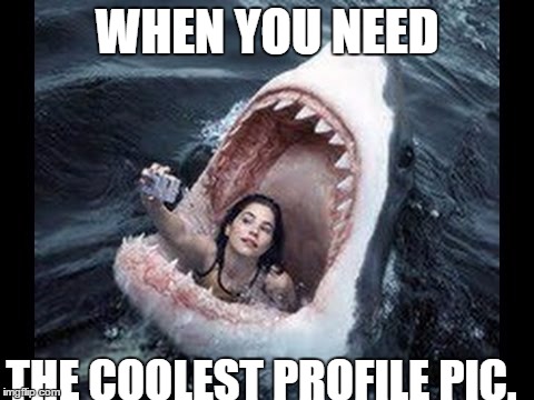sharkselfie | WHEN YOU NEED; THE COOLEST PROFILE PIC. | image tagged in sharkselfie | made w/ Imgflip meme maker