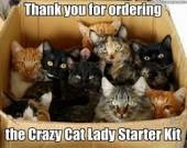 :) | image tagged in memes,cat,funny cat memes | made w/ Imgflip meme maker