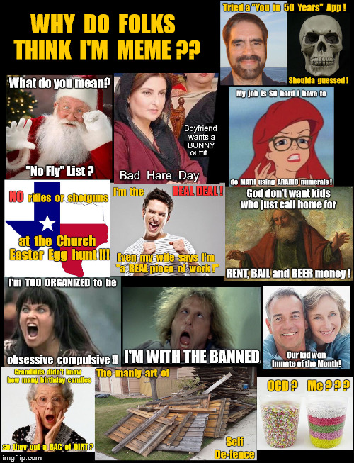 Reinckens meme collage | WHY  DO  FOLKS  THINK  I'M  MEME ?? | image tagged in reinckens meme collage | made w/ Imgflip meme maker