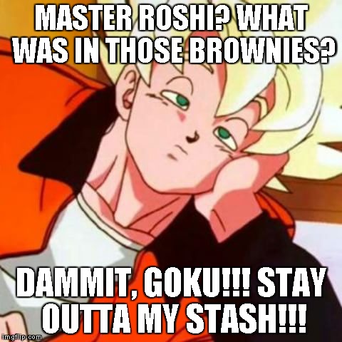 stoner goku | MASTER ROSHI? WHAT WAS IN THOSE BROWNIES? DAMMIT, GOKU!!! STAY OUTTA MY STASH!!! | image tagged in crosseyed goku | made w/ Imgflip meme maker