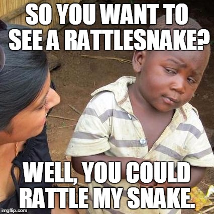 Third World Skeptical Kid Meme | SO YOU WANT TO SEE A RATTLESNAKE? WELL, YOU COULD RATTLE MY SNAKE. | image tagged in memes,third world skeptical kid | made w/ Imgflip meme maker