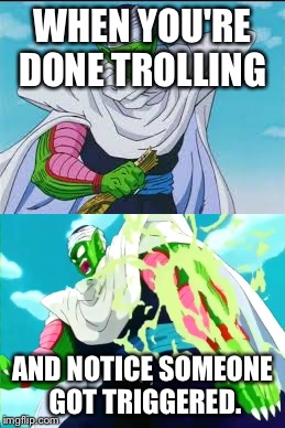 Don't feed the troll | WHEN YOU'RE DONE TROLLING; AND NOTICE SOMEONE GOT TRIGGERED. | image tagged in trolls,piccolo | made w/ Imgflip meme maker