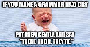 grammarcry | IF YOU MAKE A GRAMMAR NAZI CRY; PAT THEM GENTLY, AND SAY   "THERE, THEIR, THEY'RE," | image tagged in grammar nazi,crybabies | made w/ Imgflip meme maker