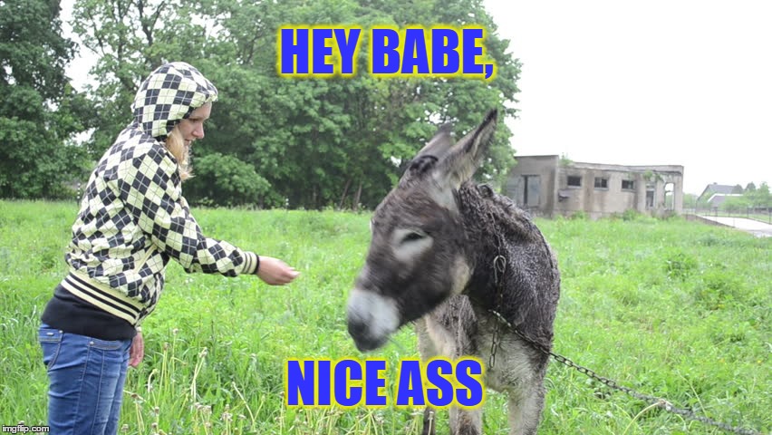 Nice Ass | HEY BABE, NICE ASS | image tagged in nice ass,can i ride that ass,i'd ride that ass | made w/ Imgflip meme maker