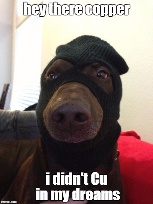 ( ͡° ͜ʖ ͡°) | hey there copper; i didn't Cu in my dreams | image tagged in dog robber | made w/ Imgflip meme maker
